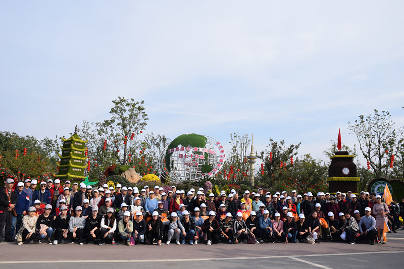 与爱相伴，温暖同行，百名阳光长者“打卡”紫琅湖菊花展